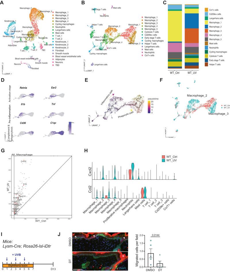 https://cdn.ncbi.nlm.nih.gov/pmc/blobs/e003/10821900/aaf696af3a57/41467_2024_45034_Fig3_HTML.jpg