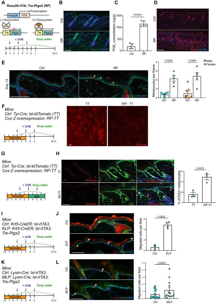 https://cdn.ncbi.nlm.nih.gov/pmc/blobs/e003/10821900/ef49089c3ba3/41467_2024_45034_Fig5_HTML.jpg