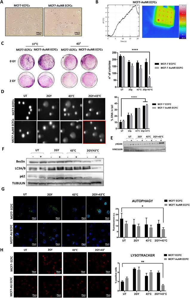 https://cdn.ncbi.nlm.nih.gov/pmc/blobs/e003/12391628/739f24642988/ADHM-14-0-g009.jpg