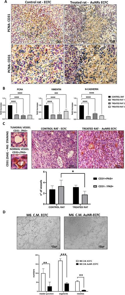 https://cdn.ncbi.nlm.nih.gov/pmc/blobs/e003/12391628/a57f1ed29c6a/ADHM-14-0-g010.jpg