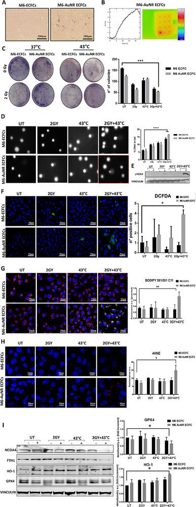https://cdn.ncbi.nlm.nih.gov/pmc/blobs/e003/12391628/e0e4d849be22/ADHM-14-0-g007.jpg