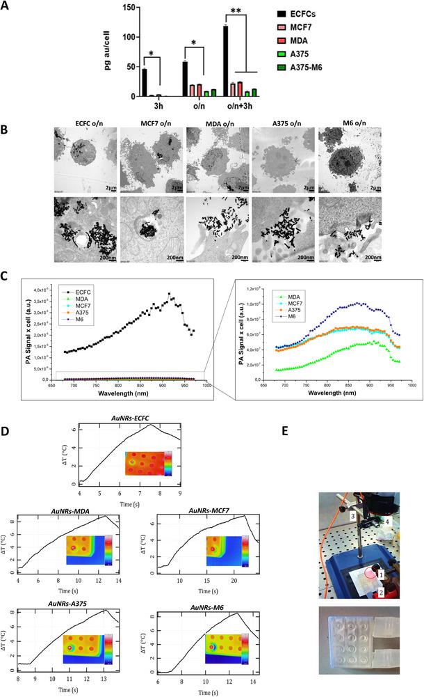 https://cdn.ncbi.nlm.nih.gov/pmc/blobs/e003/12391628/e4461d3b9932/ADHM-14-0-g006.jpg