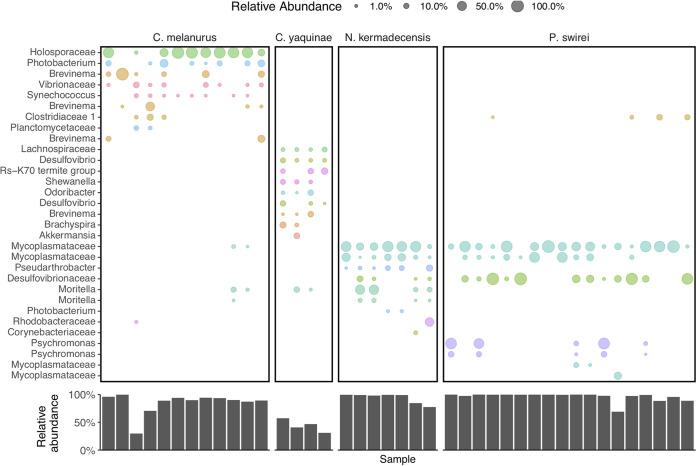 https://cdn.ncbi.nlm.nih.gov/pmc/blobs/e003/9044967/413fd1f2f498/msphere.00032-22-f003.jpg