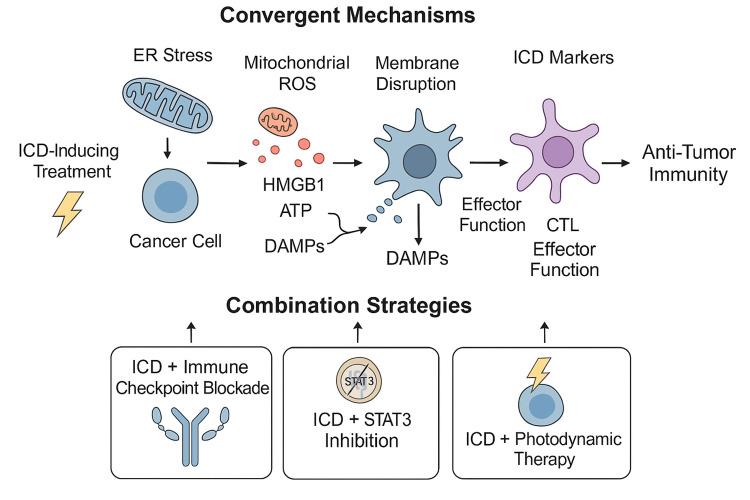 https://cdn.ncbi.nlm.nih.gov/pmc/blobs/e005/12248260/75c6503be589/cureus-0017-00000085776-i02.jpg