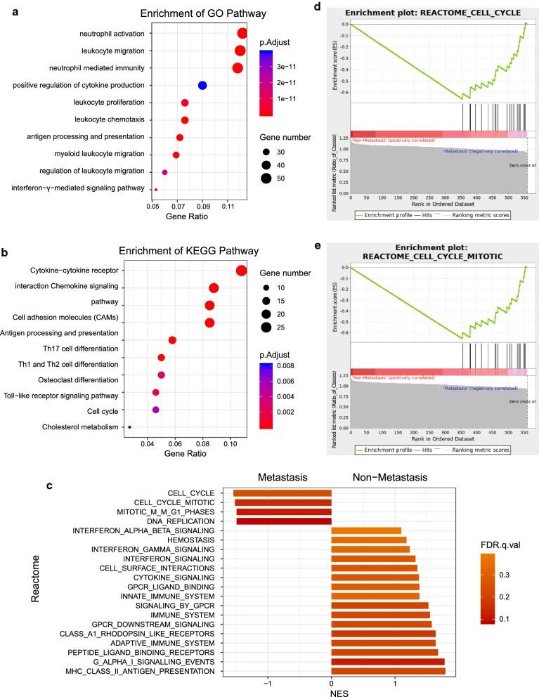 https://cdn.ncbi.nlm.nih.gov/pmc/blobs/e005/7106759/61d15a9ab75a/12935_2020_1179_Fig3_HTML.jpg