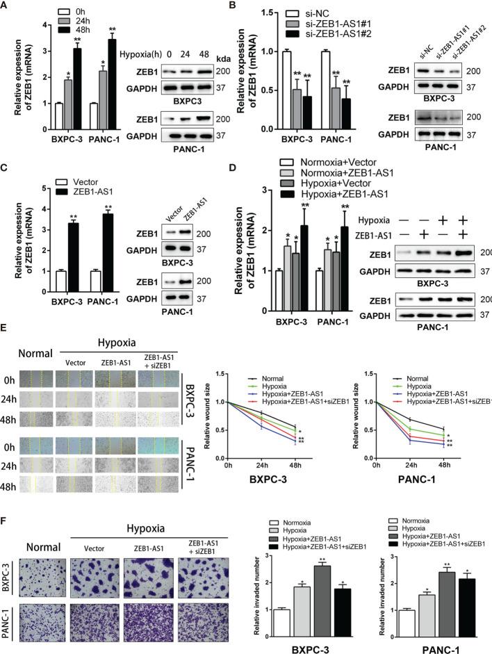 https://cdn.ncbi.nlm.nih.gov/pmc/blobs/e005/8645903/469d379c7d1c/fonc-11-761979-g003.jpg