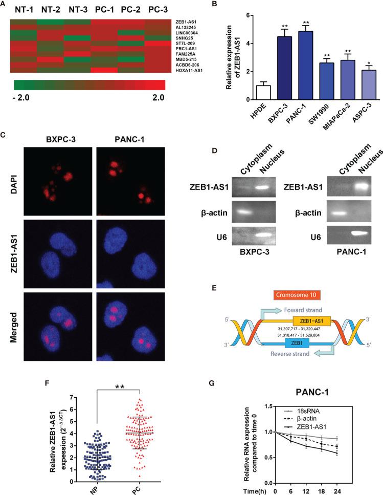 https://cdn.ncbi.nlm.nih.gov/pmc/blobs/e005/8645903/a2fa7075da70/fonc-11-761979-g001.jpg