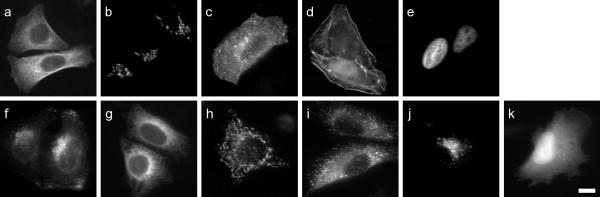 https://cdn.ncbi.nlm.nih.gov/pmc/blobs/e006/1847687/085b3c460553/1471-2105-8-110-4.jpg
