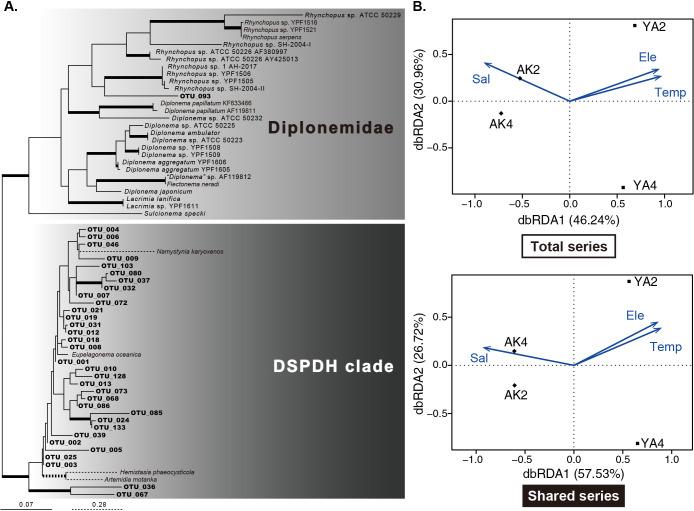https://cdn.ncbi.nlm.nih.gov/pmc/blobs/e006/8209450/2dbefd5f3979/36_21012-g004.jpg
