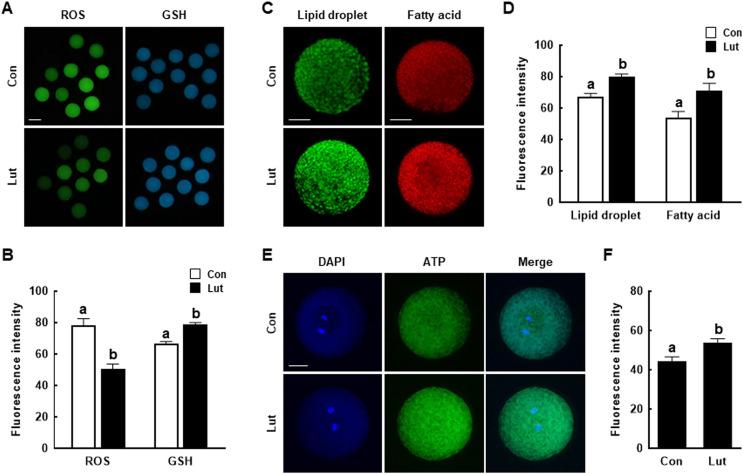 https://cdn.ncbi.nlm.nih.gov/pmc/blobs/e007/10292194/bfed3832e724/peerj-11-15618-g004.jpg