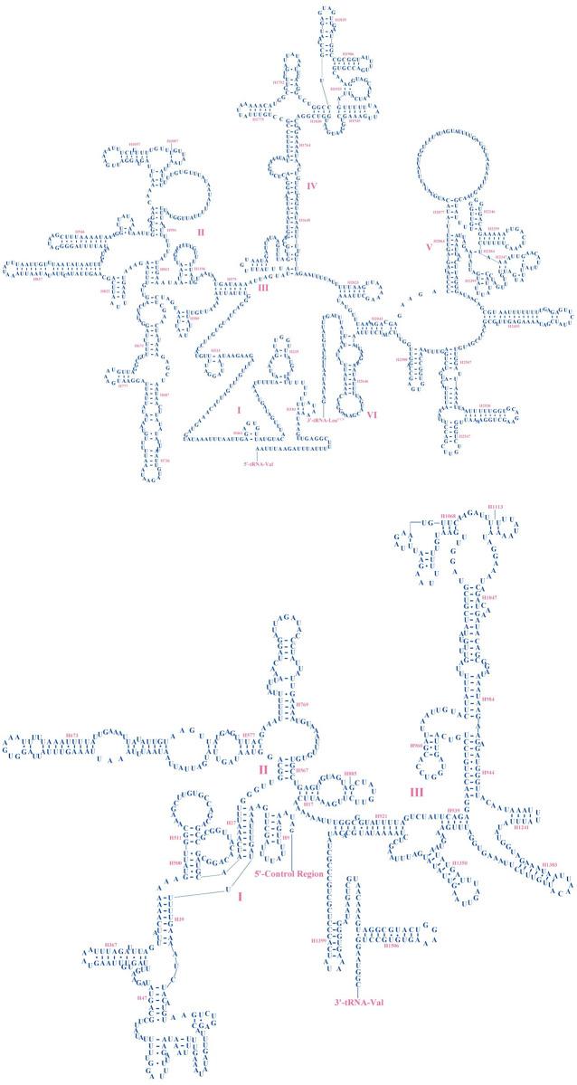 https://cdn.ncbi.nlm.nih.gov/pmc/blobs/e009/11410235/c13b66f2058f/pone.0310559.g007.jpg