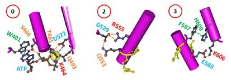 https://cdn.ncbi.nlm.nih.gov/pmc/blobs/e009/11601864/43791caa659d/nihpp-rs5479740v1-f0007.jpg