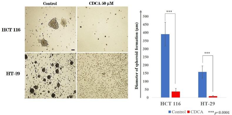 https://cdn.ncbi.nlm.nih.gov/pmc/blobs/e00a/12340127/20bc5d021ddc/41598_2025_15159_Fig5_HTML.jpg