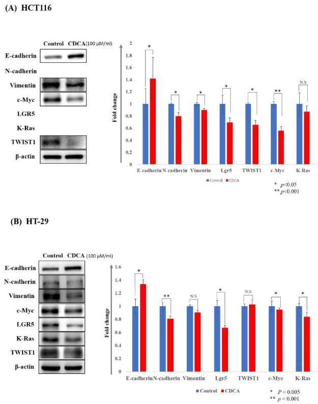 https://cdn.ncbi.nlm.nih.gov/pmc/blobs/e00a/12340127/46df6a65d4f0/41598_2025_15159_Fig6_HTML.jpg
