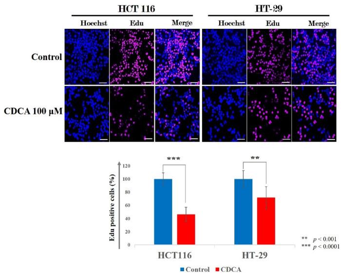 https://cdn.ncbi.nlm.nih.gov/pmc/blobs/e00a/12340127/5816b1366a72/41598_2025_15159_Fig3_HTML.jpg