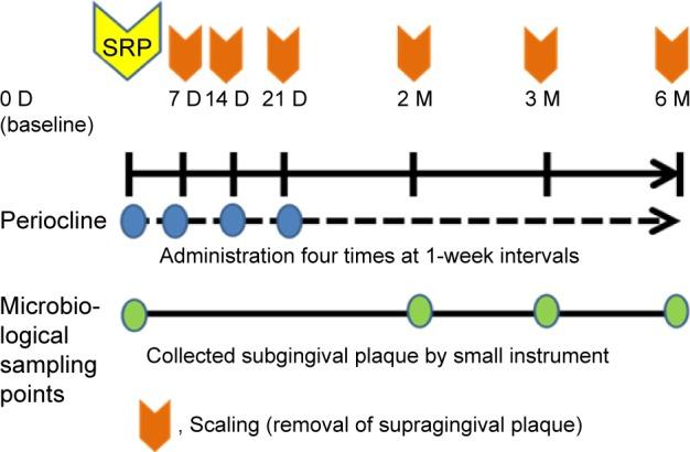 https://cdn.ncbi.nlm.nih.gov/pmc/blobs/e00a/5354525/de10c989b10b/tcrm-13-307Fig1.jpg