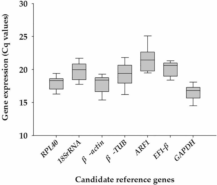 https://cdn.ncbi.nlm.nih.gov/pmc/blobs/e00a/8489056/605c33d9be5f/ieab072f0003.jpg