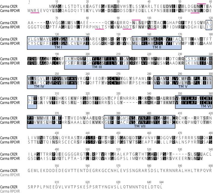 https://cdn.ncbi.nlm.nih.gov/pmc/blobs/e00b/5775280/988ab42c2446/fnins-11-00752-g0001.jpg