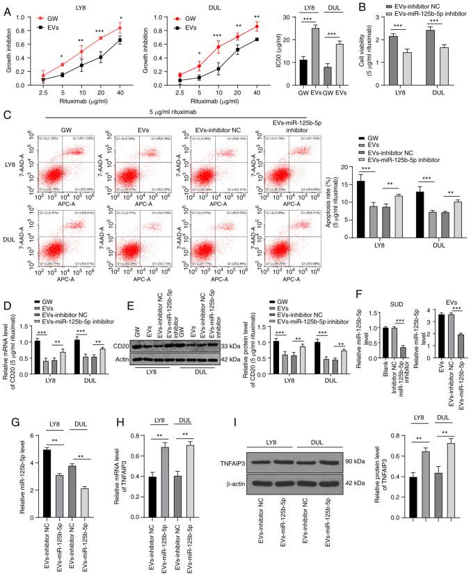 https://cdn.ncbi.nlm.nih.gov/pmc/blobs/e00c/8078569/cf92a1baafed/IJO-58-06-05211-g05.jpg
