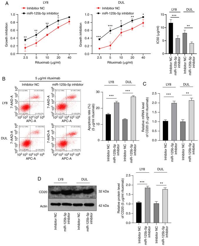 https://cdn.ncbi.nlm.nih.gov/pmc/blobs/e00c/8078569/ea5717928a33/IJO-58-06-05211-g03.jpg
