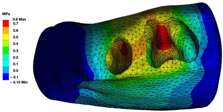 https://cdn.ncbi.nlm.nih.gov/pmc/blobs/e00d/10669356/274edc147057/bioengineering-10-01330-g007.jpg