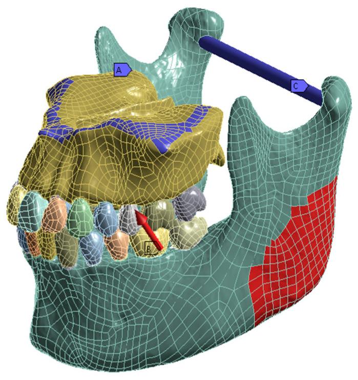 https://cdn.ncbi.nlm.nih.gov/pmc/blobs/e00d/10669356/5e44595824c3/bioengineering-10-01330-g003.jpg