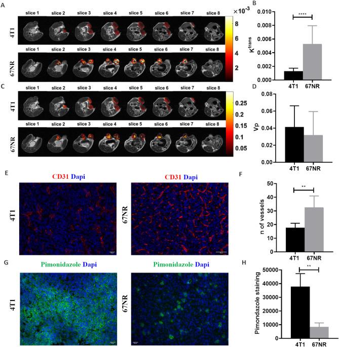 https://cdn.ncbi.nlm.nih.gov/pmc/blobs/e00d/12183868/f90e709e21ef/13058_2025_2065_Fig4_HTML.jpg