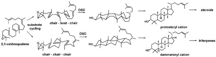 https://cdn.ncbi.nlm.nih.gov/pmc/blobs/e00d/8617677/2dd6290a0828/molecules-26-06806-g001.jpg