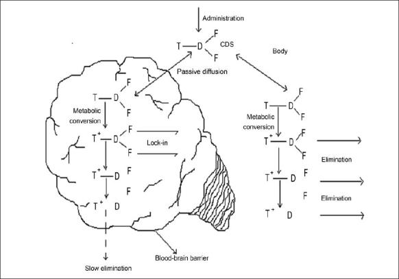 https://cdn.ncbi.nlm.nih.gov/pmc/blobs/e00e/2792490/be2a5907a77e/IJPhS-70-145-g002.jpg
