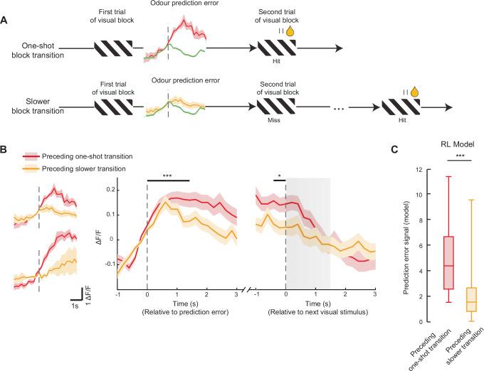 https://cdn.ncbi.nlm.nih.gov/pmc/blobs/e010/11330528/4ad0dfd58fdd/41467_2024_51368_Fig6_HTML.jpg