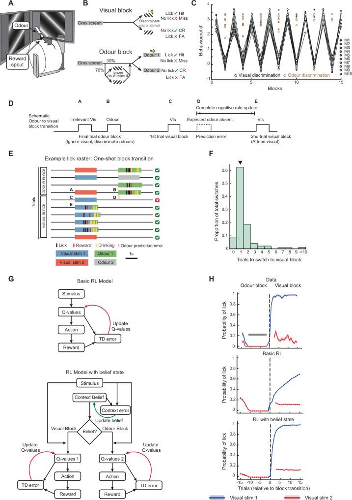 https://cdn.ncbi.nlm.nih.gov/pmc/blobs/e010/11330528/e958412302b3/41467_2024_51368_Fig1_HTML.jpg