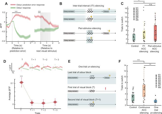 https://cdn.ncbi.nlm.nih.gov/pmc/blobs/e010/11330528/f75cd33262c3/41467_2024_51368_Fig5_HTML.jpg