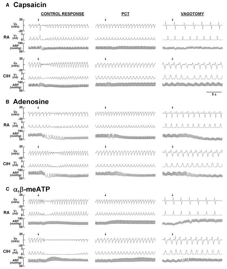 https://cdn.ncbi.nlm.nih.gov/pmc/blobs/e010/4860401/f85f71f5764b/fphys-07-00166-g0001.jpg