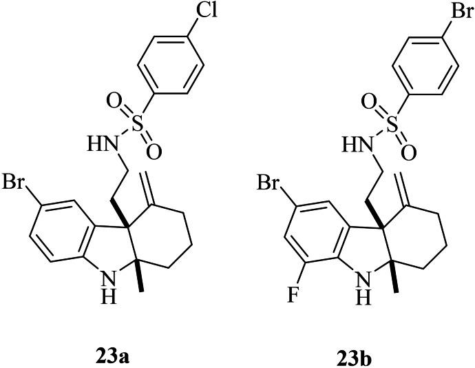 https://cdn.ncbi.nlm.nih.gov/pmc/blobs/e011/9891127/2b57337ef7de/OPEN-12-e202200235-g028.jpg