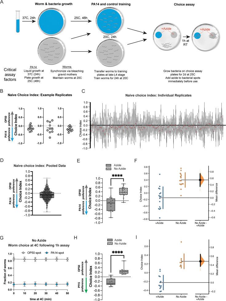https://cdn.ncbi.nlm.nih.gov/pmc/blobs/e014/12080996/ea565456d2b8/elife-105673-fig1.jpg