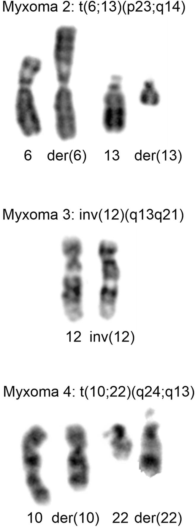 https://cdn.ncbi.nlm.nih.gov/pmc/blobs/e015/10838995/57d09df56c5e/pore-30-1611553-g001.jpg