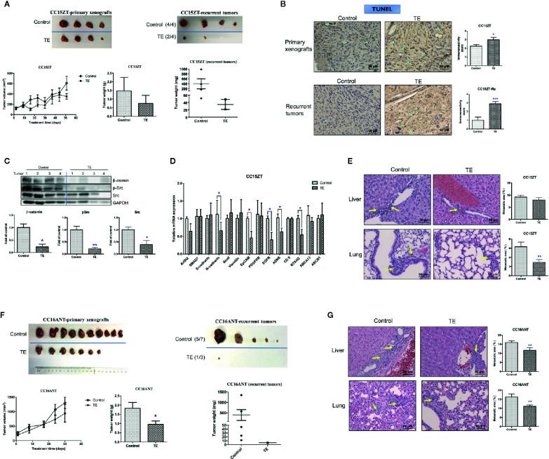 https://cdn.ncbi.nlm.nih.gov/pmc/blobs/e016/7856407/c4002512fa3e/fonc-10-574827-g006.jpg