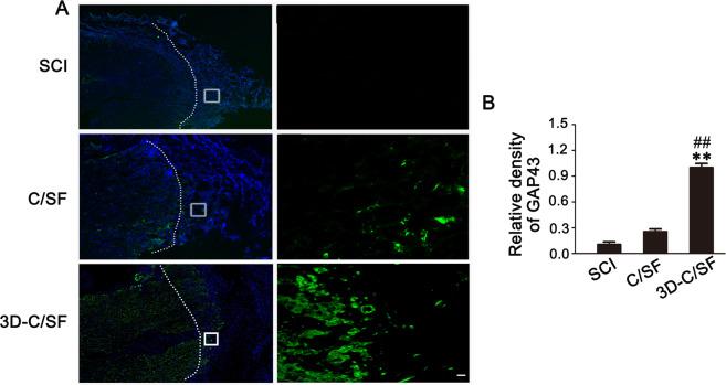 https://cdn.ncbi.nlm.nih.gov/pmc/blobs/e016/7985105/1979974da905/10856_2021_6500_Fig8_HTML.jpg