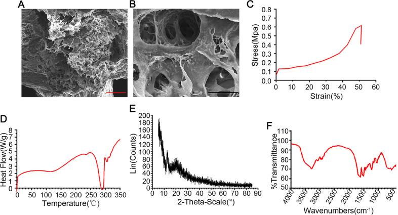 https://cdn.ncbi.nlm.nih.gov/pmc/blobs/e016/7985105/e62af7efa610/10856_2021_6500_Fig2_HTML.jpg