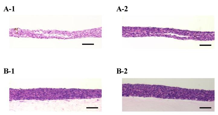 https://cdn.ncbi.nlm.nih.gov/pmc/blobs/e016/8269041/61b0d55871a6/ijms-22-06780-g0A2.jpg