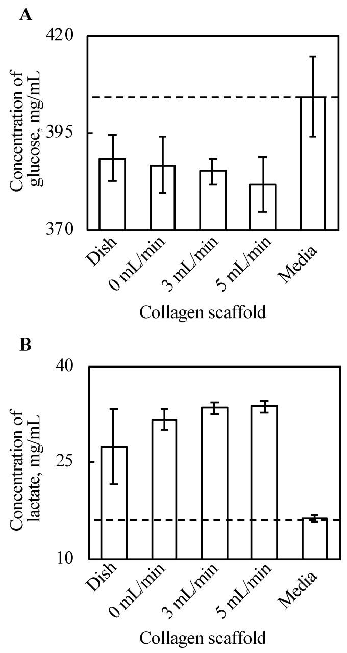 https://cdn.ncbi.nlm.nih.gov/pmc/blobs/e016/8269041/930c482ead25/ijms-22-06780-g005.jpg