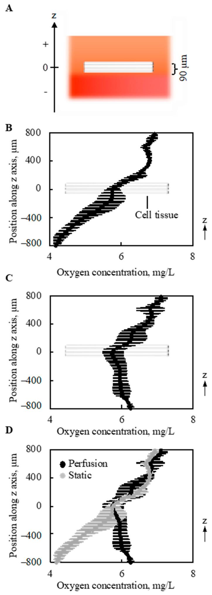 https://cdn.ncbi.nlm.nih.gov/pmc/blobs/e016/8269041/c4f3ec464ba7/ijms-22-06780-g006.jpg