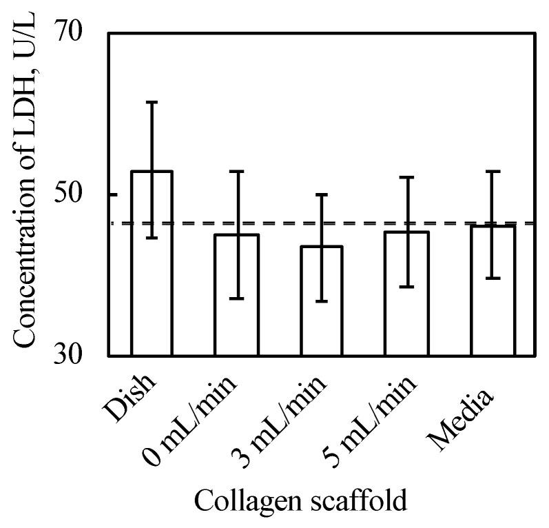 https://cdn.ncbi.nlm.nih.gov/pmc/blobs/e016/8269041/c86b59e4a408/ijms-22-06780-g004.jpg