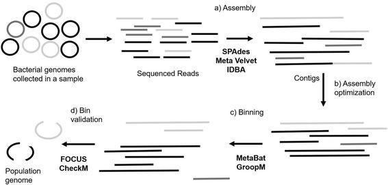 https://cdn.ncbi.nlm.nih.gov/pmc/blobs/e019/5706307/cb2342ec37a2/12864_2017_4294_Fig1_HTML.jpg