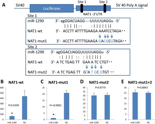 https://cdn.ncbi.nlm.nih.gov/pmc/blobs/e01a/4364092/8280e21d9076/12885_2014_5180_Fig1_HTML.jpg