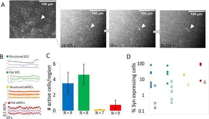 https://cdn.ncbi.nlm.nih.gov/pmc/blobs/e01b/10390376/e28cb4a72f29/12015_2023_10538_Fig5_HTML.jpg