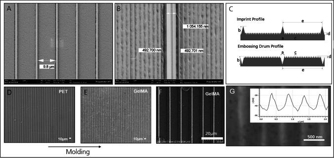 https://cdn.ncbi.nlm.nih.gov/pmc/blobs/e01b/10390376/eb62f684e08a/12015_2023_10538_Fig3_HTML.jpg