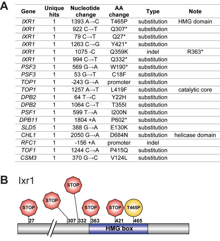 https://cdn.ncbi.nlm.nih.gov/pmc/blobs/e01b/7069727/4b809c756923/elife-51963-fig4-figsupp1.jpg