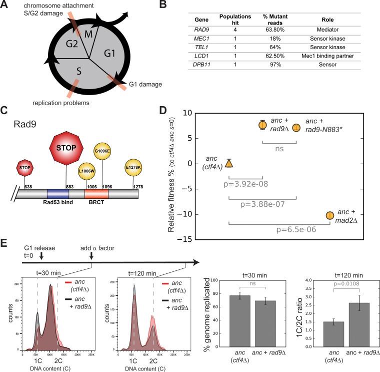 https://cdn.ncbi.nlm.nih.gov/pmc/blobs/e01b/7069727/ab1de389f953/elife-51963-fig2.jpg
