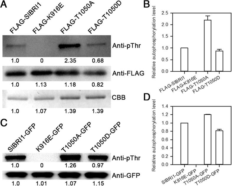 https://cdn.ncbi.nlm.nih.gov/pmc/blobs/e01c/6567510/daa785fe9e61/12870_2019_1869_Fig5_HTML.jpg